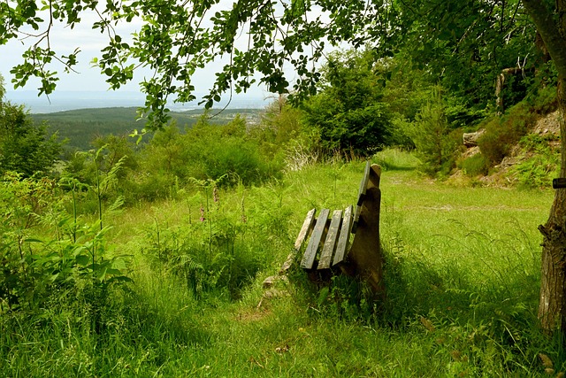 是否应承担 是否应承担