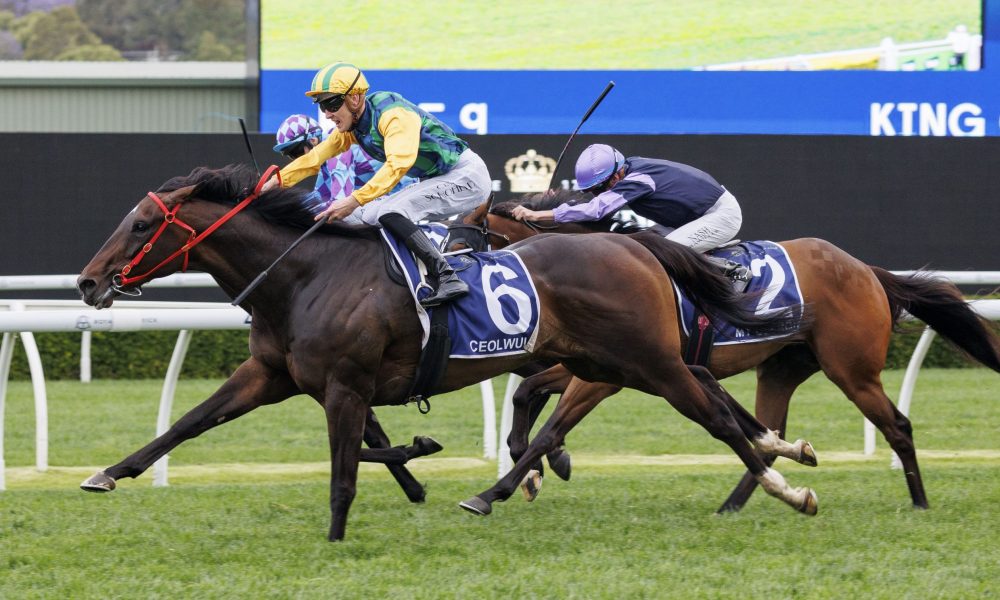 出成为了尼 出成为了尼